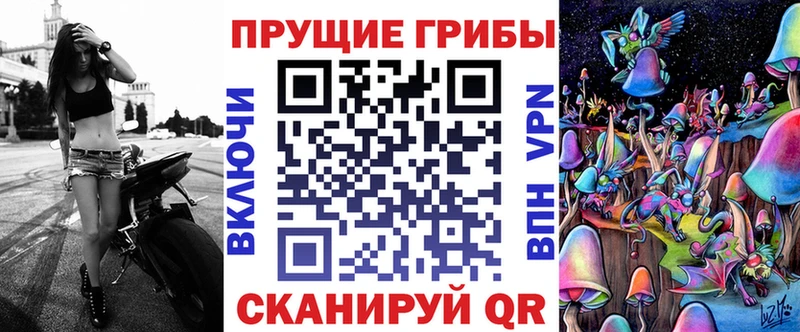 Купить где  Томмот  Галлюциногенные грибы Cubensis 